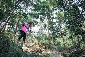 BIB: 
                            <button type="button" onclick="openModal(25984841)" class="btn btn-primary btn-sm float-right btn-popup" data-toggle="modal" data-target=".modal-high-quality">
                        <i class="fas fa-shopping-cart"></i> Add to Cart
                    </button>
                                            <button type="button" onclick="isThisMe(25984841, true)" class="btn btn-success btn-sm float-right btn-popup btn-isme hidden" data-toggle="tooltip" data-placement="bottom" title="นี่คือรูปของคุณใช่ไหม คลิกที่นี่เพื่อเอาเข้าอัลบั้ม">
                        <i class="fas fa-plus"></i> Add to album
                    </button>
                    <button type="button" onclick="isThisMe(25984841, false)" class="btn btn-warning btn-sm float-right btn-popup btn-isnotme hidden">
                        <i class="fas fa-ban"></i> Remove from album
                    </button>